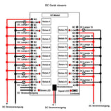15 Kanäle Funkrelais Sender Empfänger mit DC 12V/24V Eingang & 5 Modi (Modell 0020038)