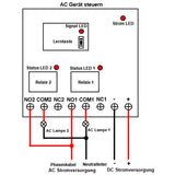 DC 6V/9V/12V/24V 1000M Fernbedienung Schalter mit 2 Relaisausgang (Modell 0020200)
