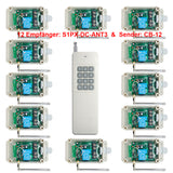 Funkschalter 12V 24V DC Eingang mit Eins 12 Kanäle Sender & Zwölf Empfänger (Modell 0020735)