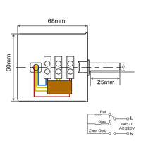 60MM 28W AC Motor Permanenterregter Synchronmotor (Modell 0042002)