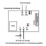 DC 6V/9V/12V/24V Fernsteuerungsset - Eins Sender Kontrolle Fünfzehn Empfänger (Modell 0020631)