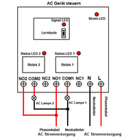 Funksteuerung 230V 220V AC 2 Kanäle mit 10A Relais und 2 Fernbedienung (Modell 0020333)