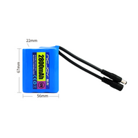 Wiederaufladbare 12V 2800mAh Lithiumbatterie (Modell 0010202)